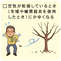 空気が乾燥しているとき（冬場や暖房器具を使用したとき）にかゆくなる