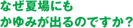 なぜ夏場にもかゆみが出るのですか？